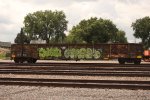 BN 565956